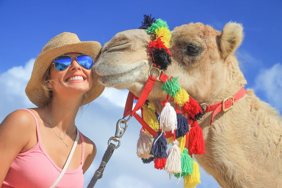 Cabo San Lucas: Camel Safari Tour With Lunch and Tequila - Tour Description