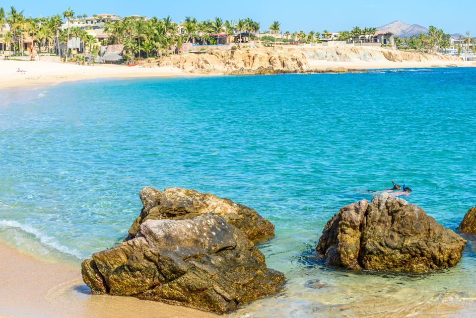 Cabo San Lucas: City Tour and Beach Day - Tour Highlights