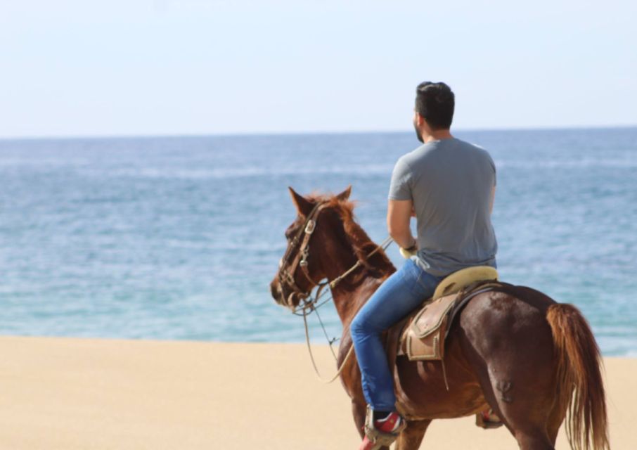 Cabo San Lucas: Horseback Riding Adventure - Experience Levels and Entertainment