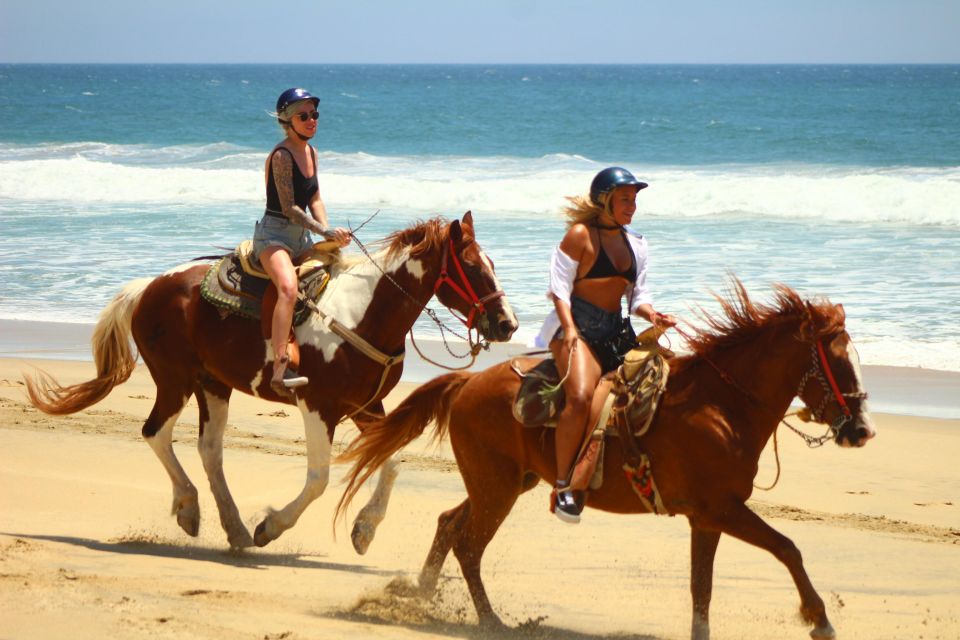 Cabo San Lucas: Horseback Riding Migriño - Additional Information