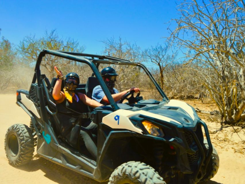 Cabo San Lucas: Migriño Beach & Desert UTV Adventure - Tour Highlights