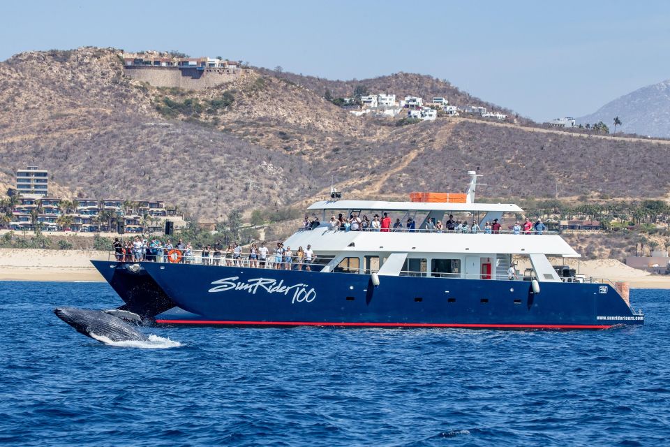 Cabo San Lucas: Whale Watching Tour With Buffet & Open Bar - Logistics