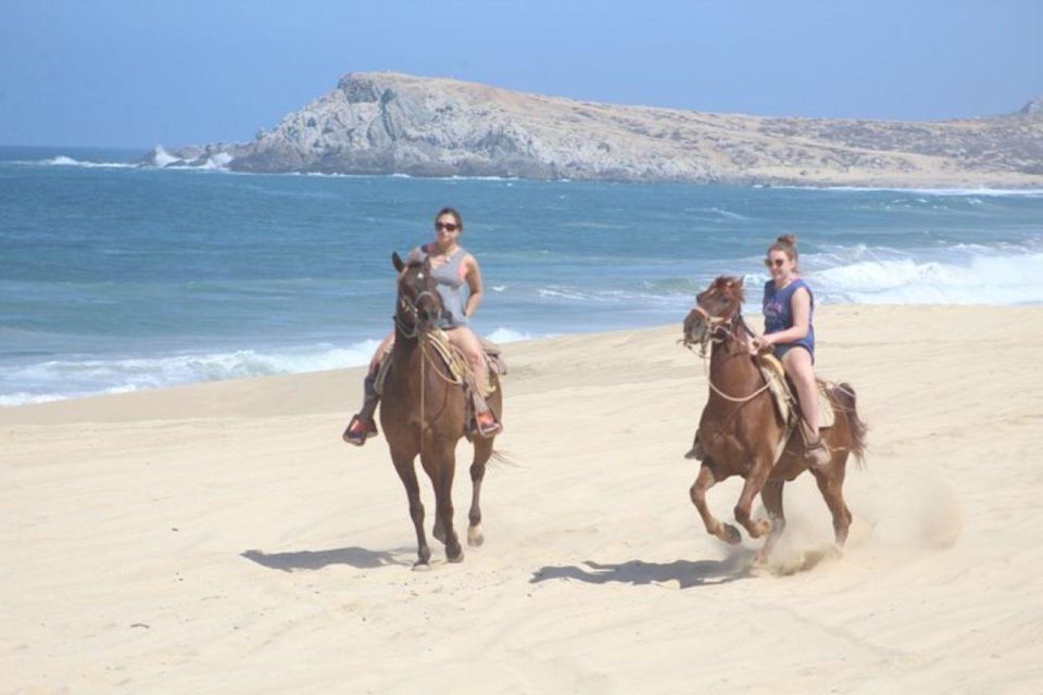 Cabo San Lucas: White Sand Horseback Adventure - Adventure Description
