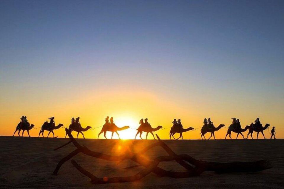 Cabo: Sunset Camel Ride and ATV Combo Adventure - Booking Information