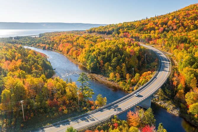 Cabot Trail Bus Tour for Cruise Excursion - Traveler Feedback and Testimonials