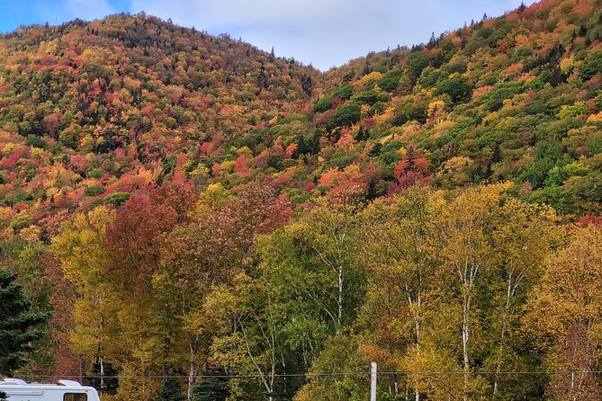 Cabot Trail Private Full Day Tour - Tour Experience Highlights