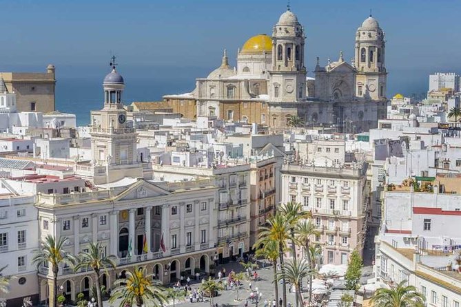 Cadiz Shore Excursion: Scenic & Walking Tour With Cheese and Sherry Tasting - Expert Guide Insights
