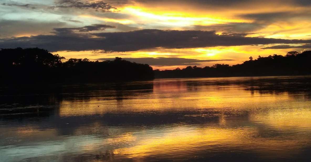 Caimans and Capibara Search on the Tambopata River - Highlights