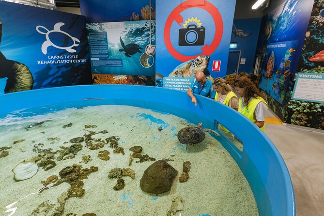 Cairns Aquarium General Admission and Turtle Hospital Tour - Booking Information
