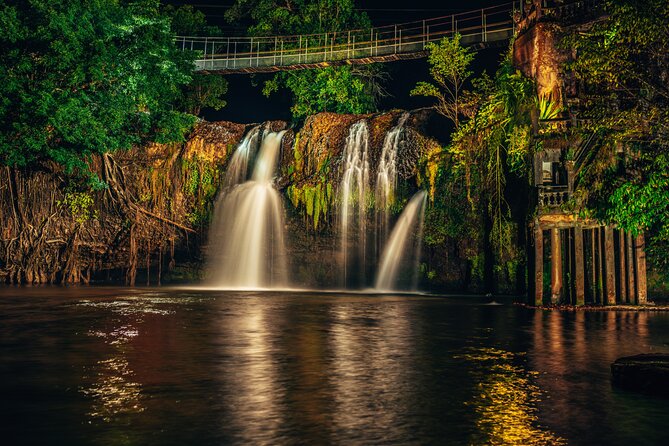 Cairns Paronella Park Day and Night Tour - Reviews and Rating Information