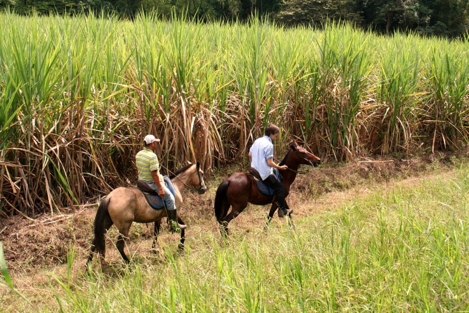 Cali: Horseback Riding - Inclusions