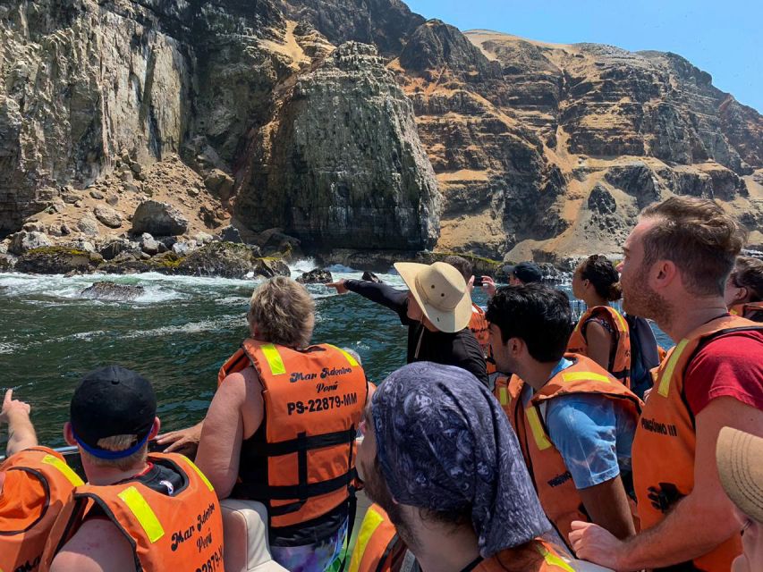 Callao: Swimming With Sea Lions Palomino Islands Boat Tour - Important Information for Participants