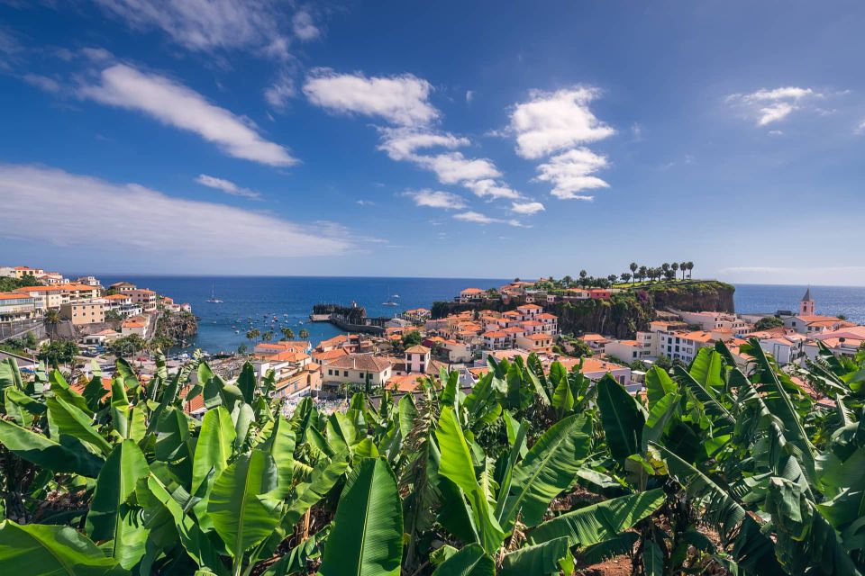 Câmara De Lobos: Private Fishing Village Tour by Tuk-Tuk - Tour Activities