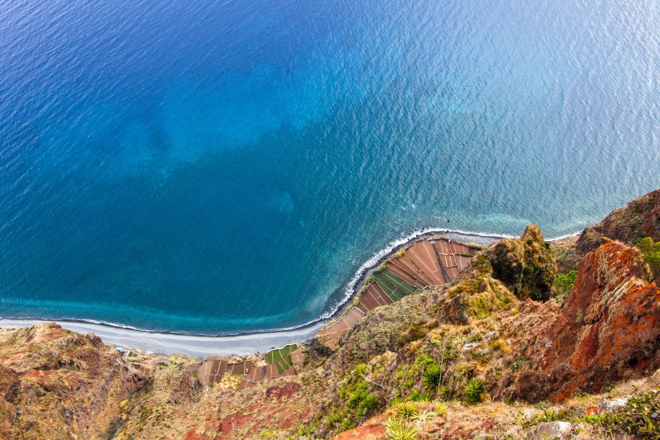 Câmara De Lobos/Sky Walk (Cabo Girão): Guided Tuk Tuk Tour - Experience Highlights