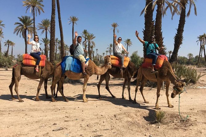 Camel and Quad in Marrakech - Traditional Moroccan Dining Experience