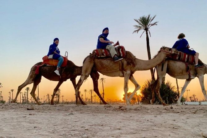 Camel Ride in Marrakech Desert Palmgrove - Common questions