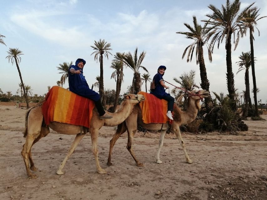 Camel Ride In Palmeraie 1 Hour, With Tea - Experience Highlights