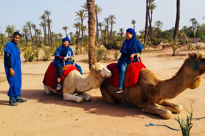 Camel Ride Marrakech - Learn About Cancellation Policy