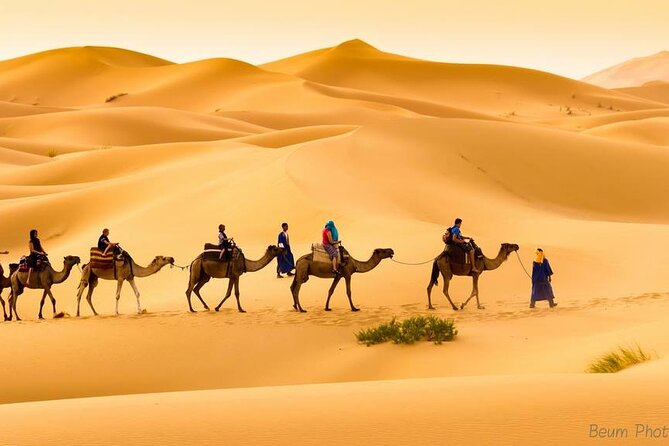 Camel Ride & Overnight Stay in Desert Camp Merzouga - Traditional Berber Dinner