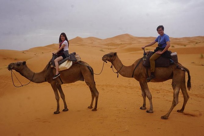 Camel Ride With Luxury Desert Camp And Night In Merzouga Dunes - Dinner and Breakfast by Campfire