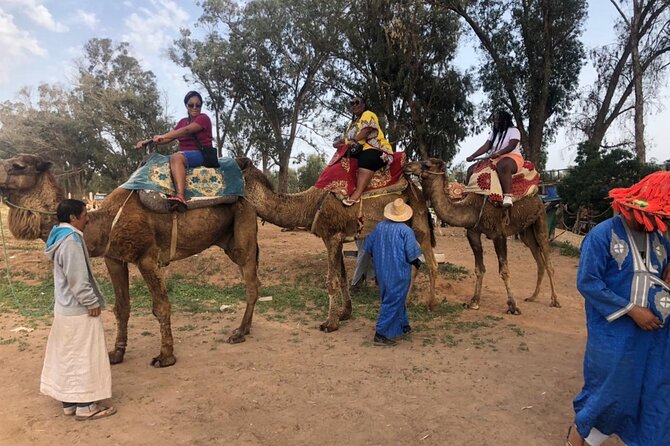 Camel Riding Agadir - Expectations and Accessibility