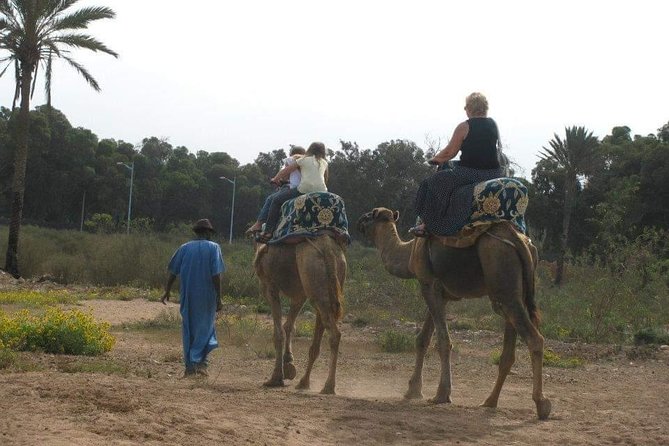 Camel Riding - What to Expect on a Camel Ride