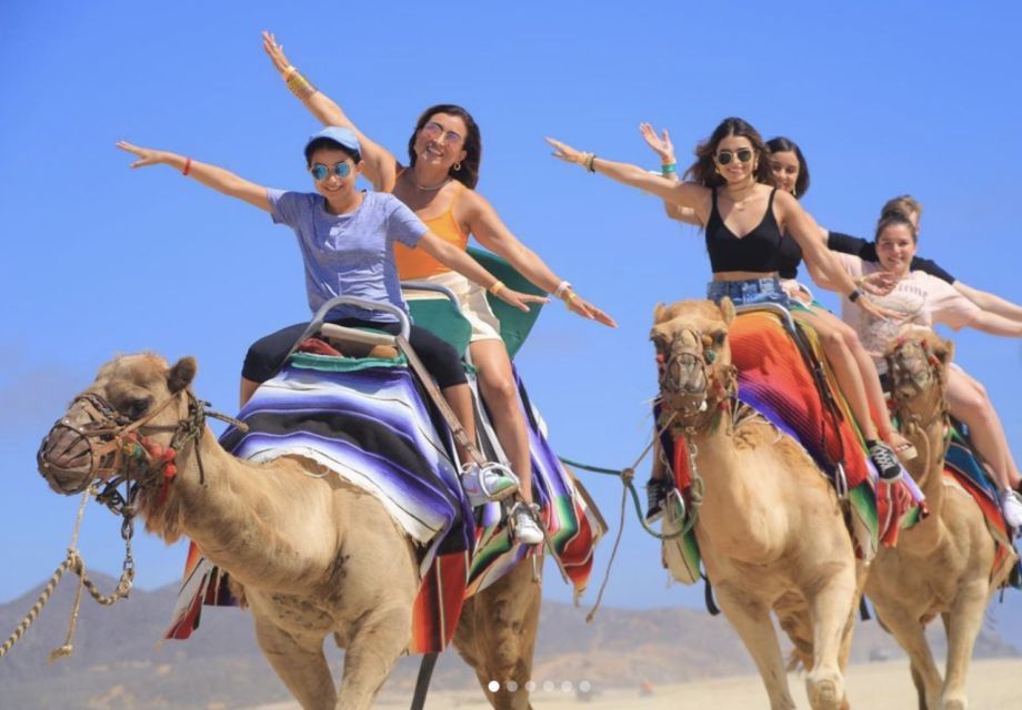 Camel Safari Adventure With Tacos - Booking Information
