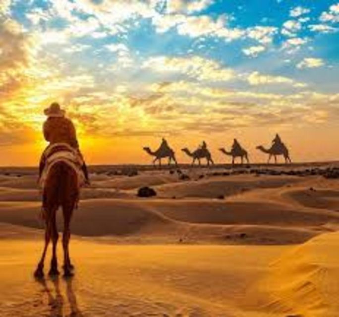 CAMEL SAFARi !n 0sian DeSERT - Immerse in Local Culture and Cuisine