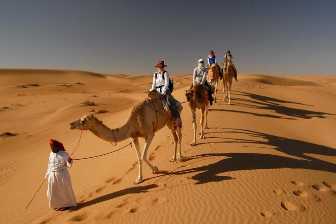 Camel Trekking Dubai With Morning Dune Bashing and Sand Boarding - Sand Boarding in the Desert