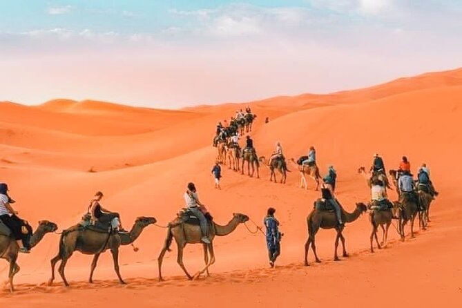 Camel Trekking in Desert Merzouga for 1Night In Merzouga - Viator Booking Process
