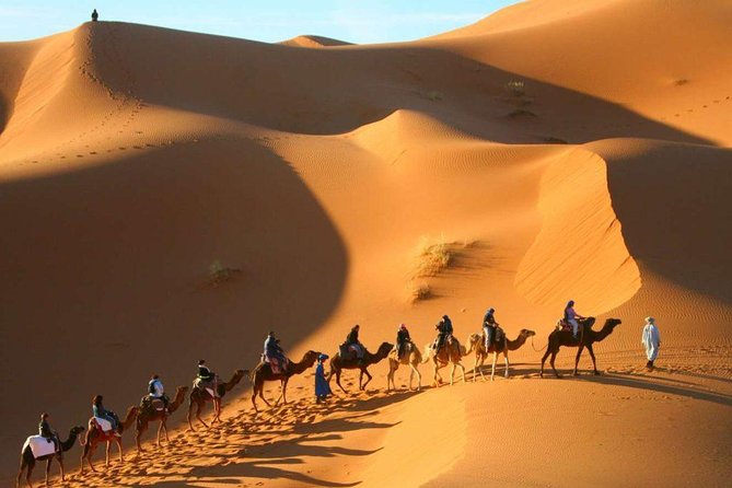 Camel Trekking & Overnight Luxury Camp - Sunset Camel Ride Adventure