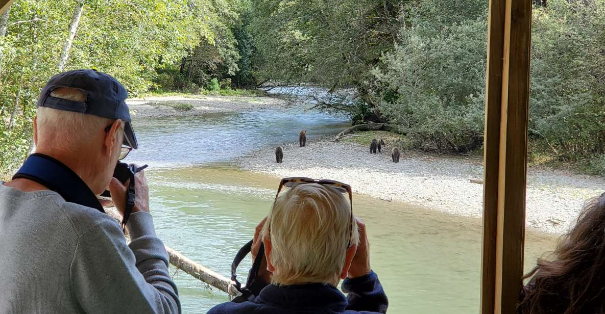 Campbell River: Grizzly Bear-Watching Tour With Lunch - Full Description of Experience