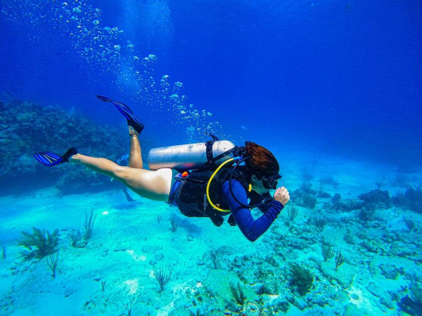 Cancun: All Included Diving Lesson (2 Tanks) - Inclusions
