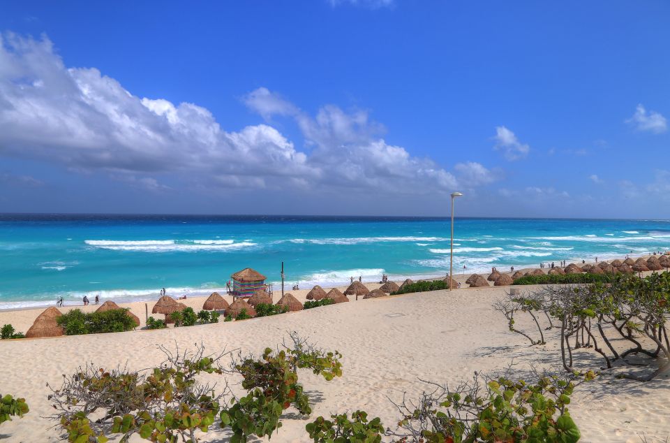 Cancun: Hop-On-Hop-Off Sightseeing Bus Tour - Reviews and Ratings
