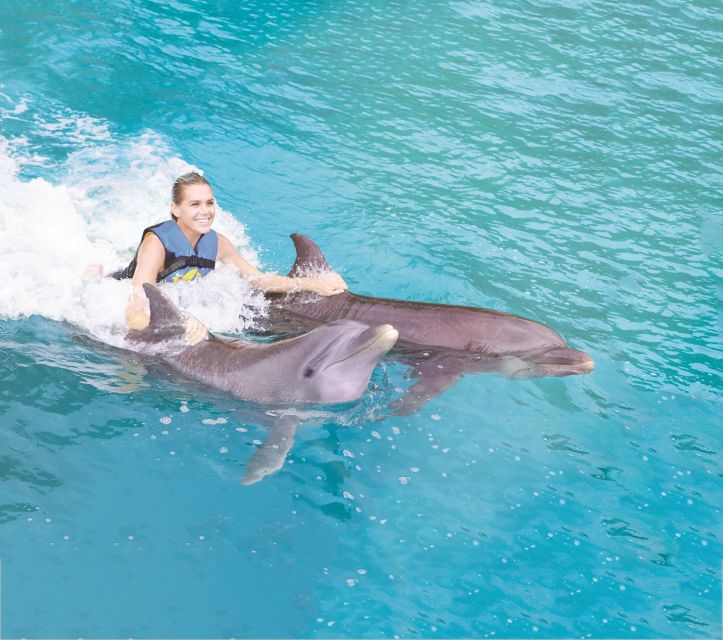 Cancún: Isla Mujeres Sea Life Encounter Program With Buffet - Full Description