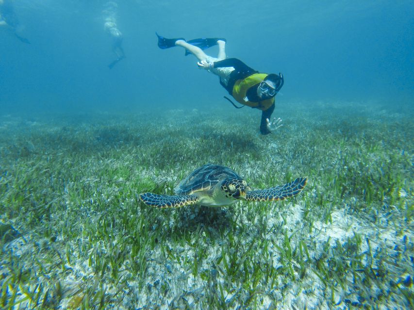 Cancun: Private Snorkeling Tour With Pickup and Drop-Off - Inclusions on the Private Snorkeling Tour