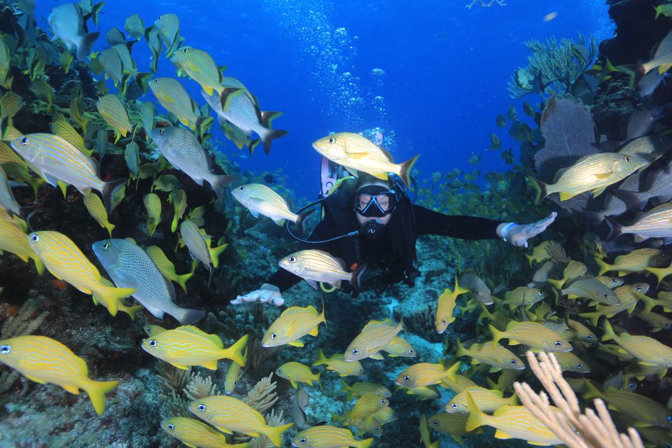 Cancun: Scuba Diving for Certified Divers at 3 Locations - Safety and Health Considerations