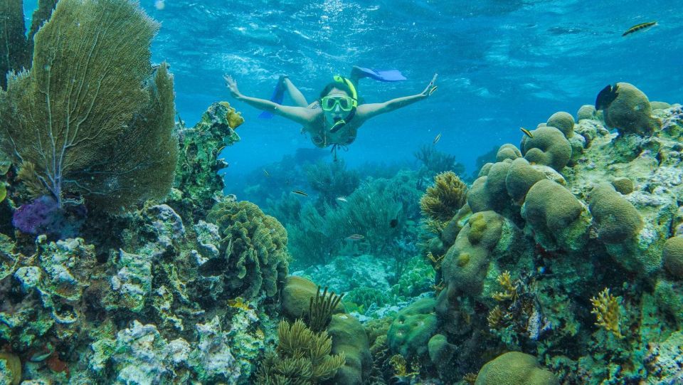 Cancun: Snorkel in MUSA Undewater Museum and Reef - Experience Details