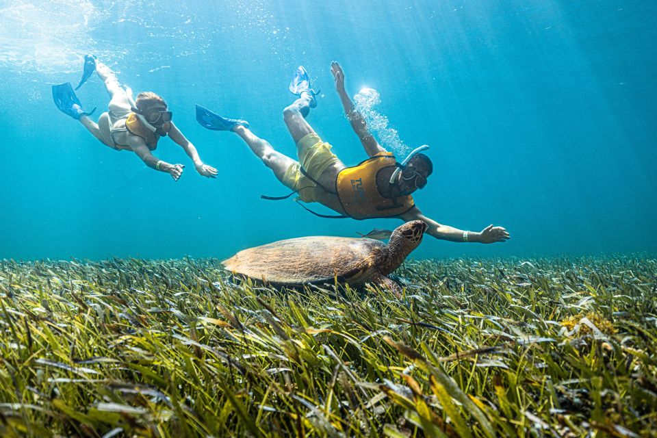 Cancun: Snorkeling Boat Tour With Hotel Transfer and Gear - Customer Reviews