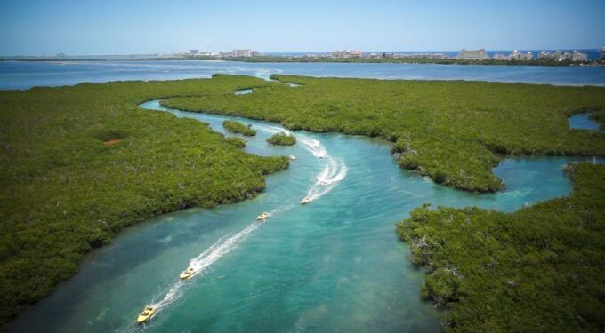 Cancun: Speedboat Mangrove Jungle & Snorkel Tour - Booking Information