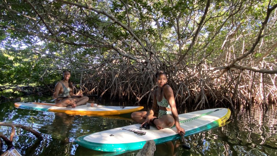 Cancun: Sunrise/Sunset Stand-Up Paddleboarding Tour - Full Tour Description