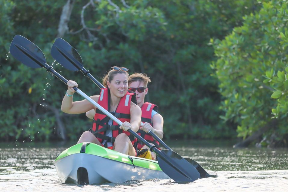 Cancun: Sunset Kayak Experience in the Mangroves - Group Size and Cancellation Policy