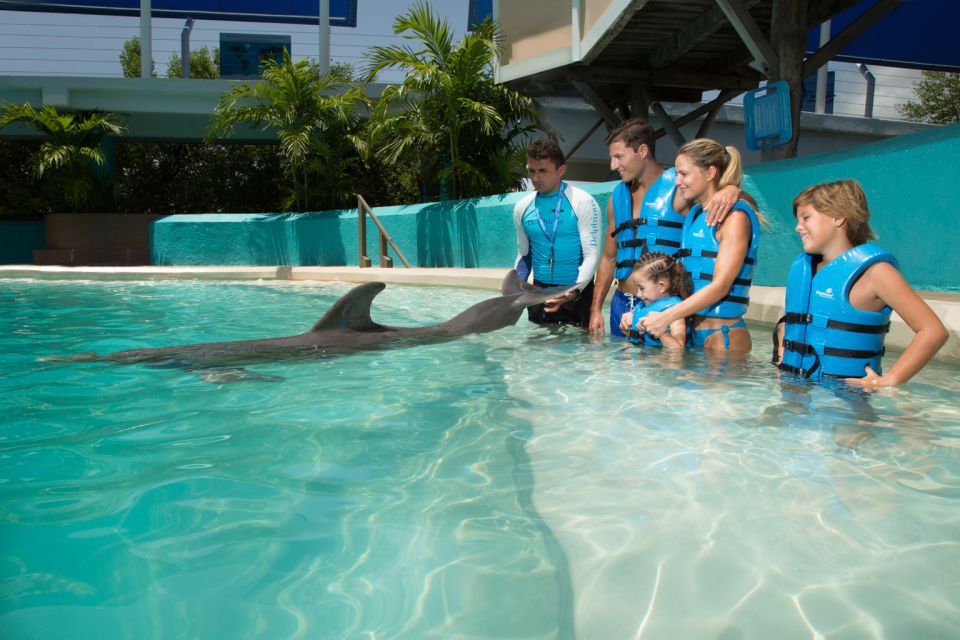 Cancún: Swim With Dolphins at Interactive Aquarium Cancún - Location Details
