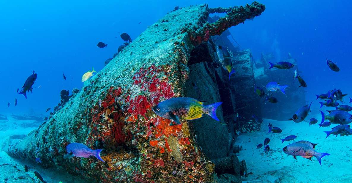 Cancún: Wreck and Reef for Certified Scuba Divers - Dive Into Coral Reef Adventure