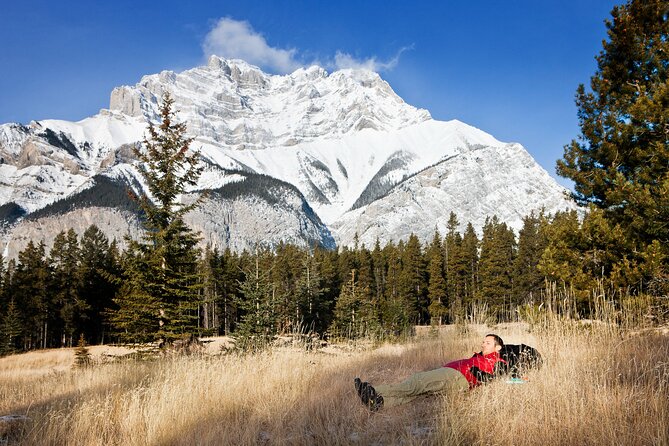 Canmore: Mountain Drive and Nature Walk - Private Tour 4hrs - Expert Local Tour Guide