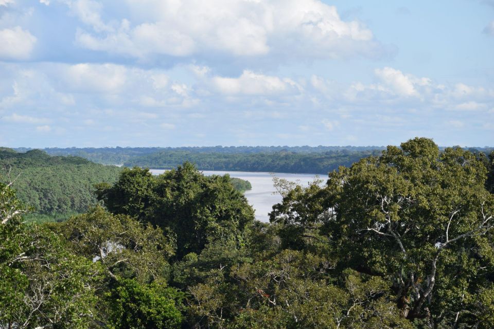 Canopy Walk and Monkey Island - Logistics and Additional Information