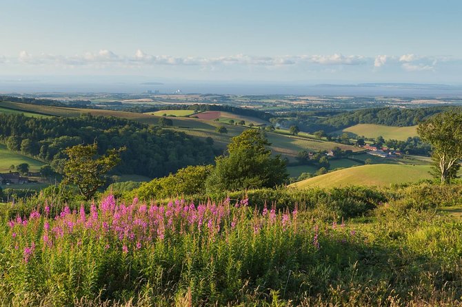 Canterbury & the White Cliffs of Dover Tour (Small-Group) - Tour Highlights