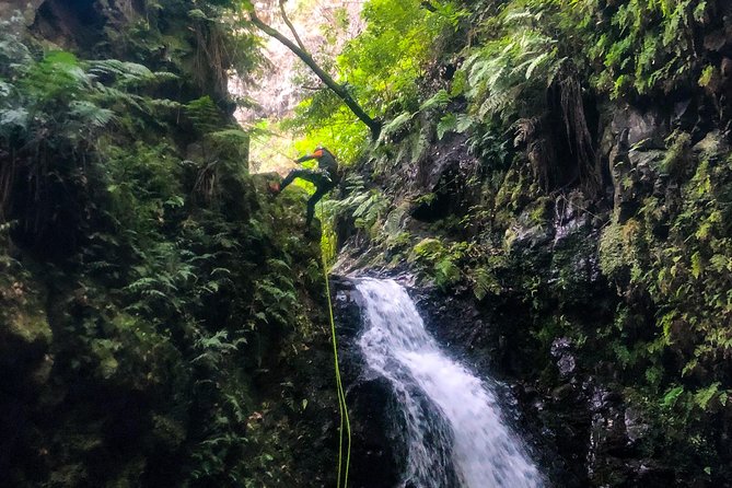 Canyoning Madeira Island - Level Two - Thrilling Canyoning Routes