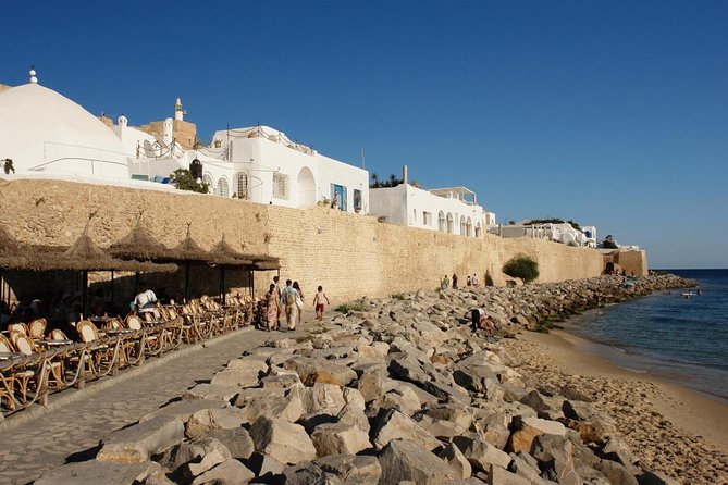 Cap Bon Guided Day Tour From Tunis - Reviews and Customer Feedback