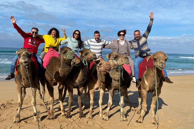 Cap Startel and Camel Ride in Achakkar Beach at Sunset With BBQ - Customer Reviews and Ratings